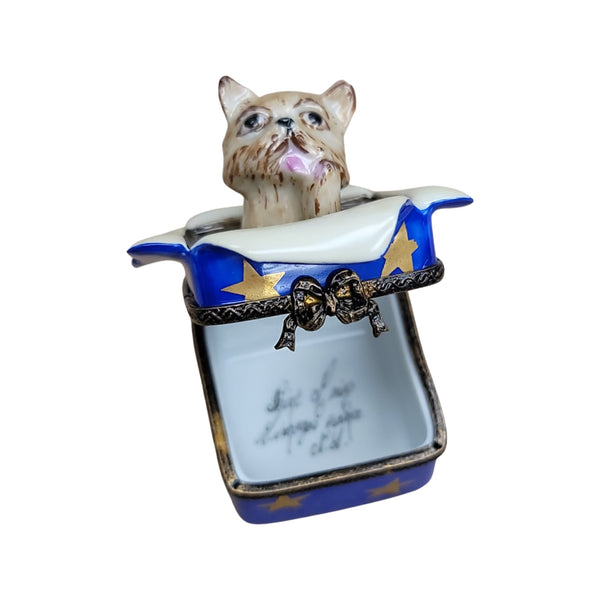 Dog in Gift Porcelain Limoges Trinket Box