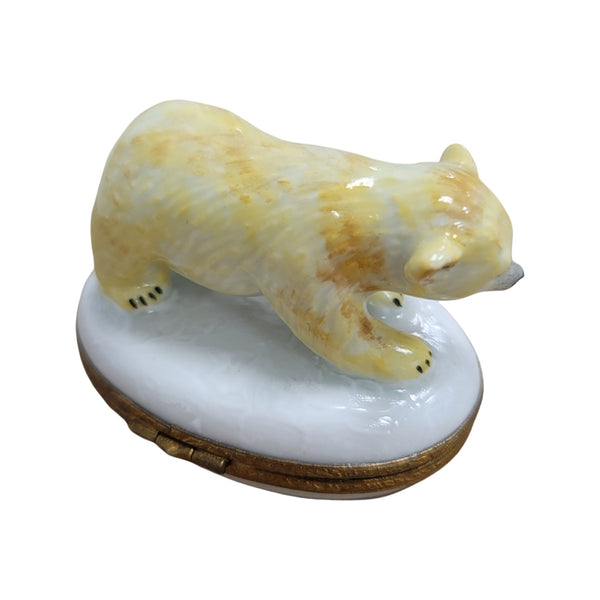 Polar Bear Cub Porcelain Limoges Trinket Box