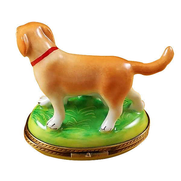 Blond / Yellow Labrador with Puppy Limoges Porcelain Box