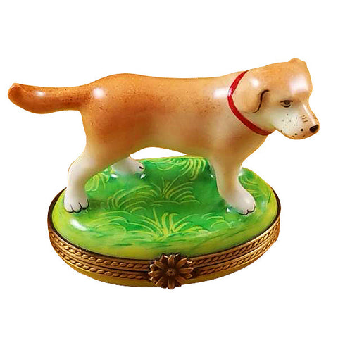 Standing Blond Labrador Limoges Porcelain Box
