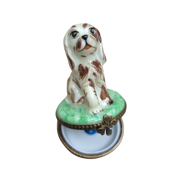 Spotted Dog Porcelain Limoges Trinket Box