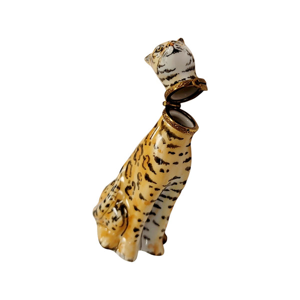 Tiger Wild Porcelain Limoges Trinket Box
