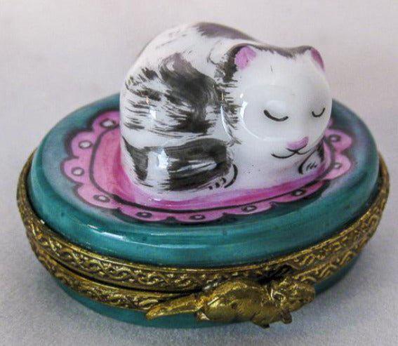 Small Kitty Cat on Round