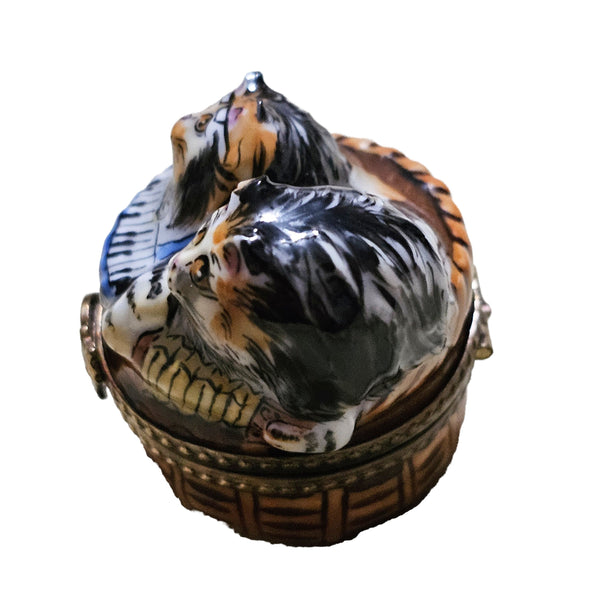 Rockin Roll Cats Limoges Delight Porcelain Limoges cat cats French Trinket Box