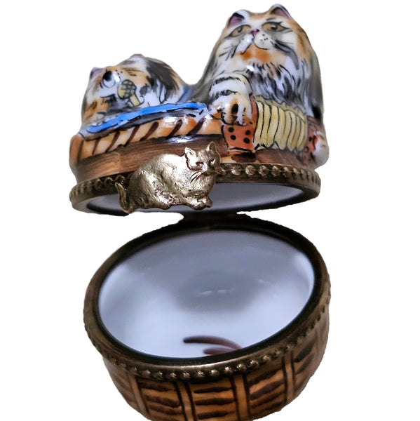 Rockin Roll Cats Limoges Delight Porcelain Limoges cat cats French Trinket Box