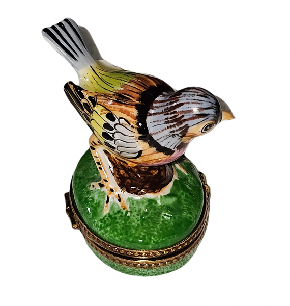 Vibrant Handcrafted Bird Figurine Porcelain Limoges bird French Trinket Box