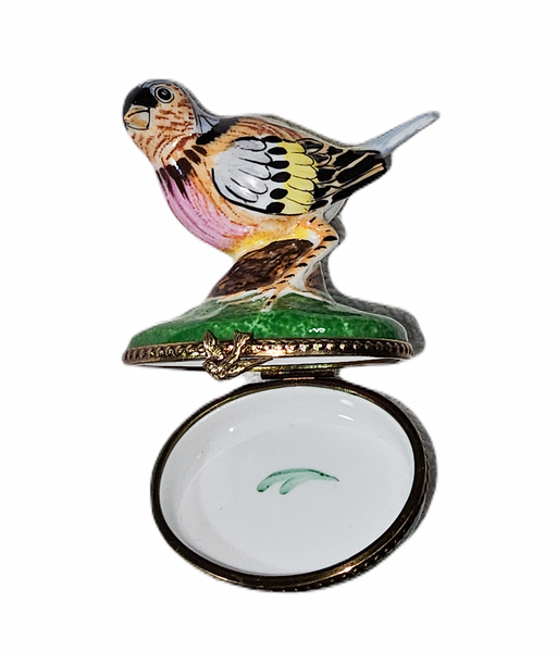 Vibrant Handcrafted Bird Figurine Porcelain Limoges bird French Trinket Box