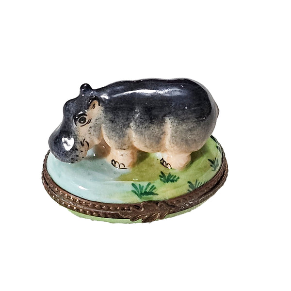 Hand-Painted Hippopotamus Limoges Box for Safari Lovers