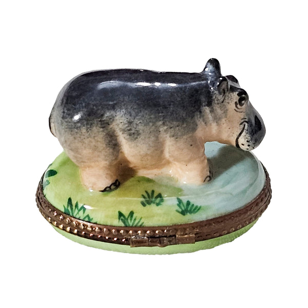 Hand-Painted Hippopotamus Limoges Box for Safari Lovers, view 3