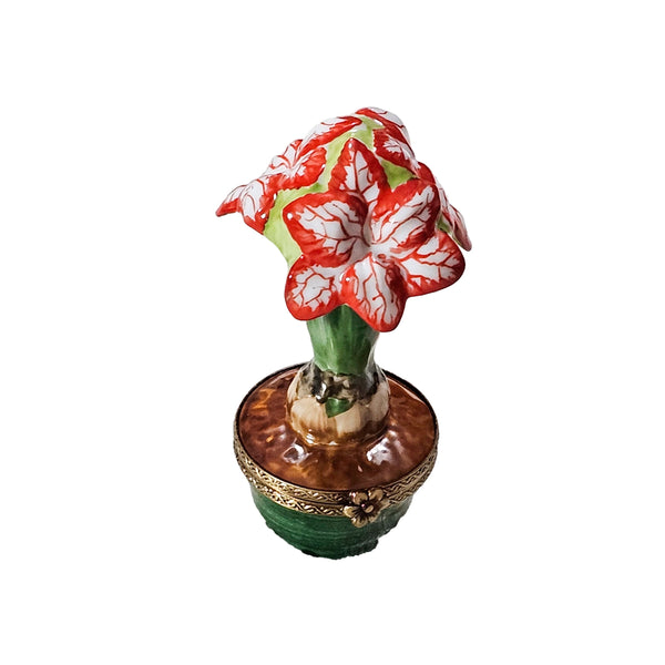 Red Floral Elegance Box Porcelain Limoges flowers garden French Trinket Box