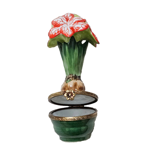 Red Floral Elegance Box Porcelain Limoges flowers garden French Trinket Box