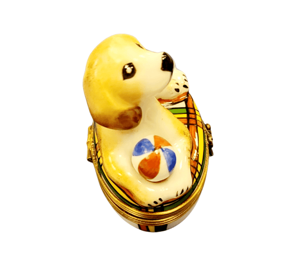 Beagle Dog Limoges Box Figurine Porcelain Limoges dog beach limoges box French Trinket Box