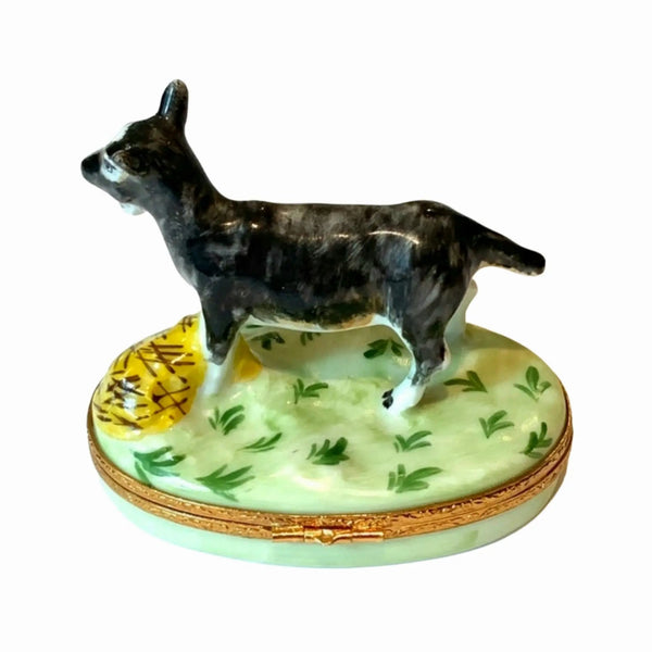Billy Goat Porcelain Limoges Farm Animals French Trinket Box