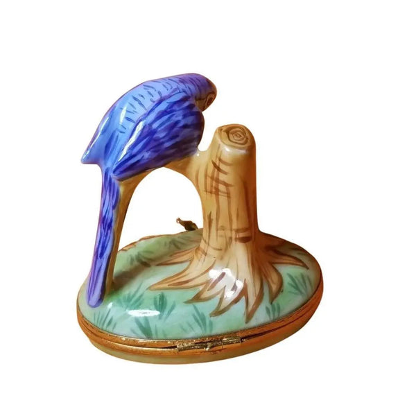 Blue Maccaw Porcelain Limoges bird birds French Trinket Box
