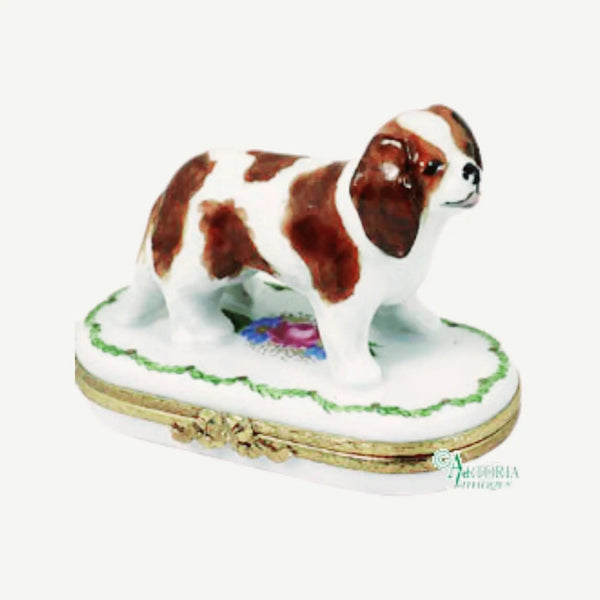 Cavalier King Charles Dog Porcelain Limoges dog dogs French Trinket Box
