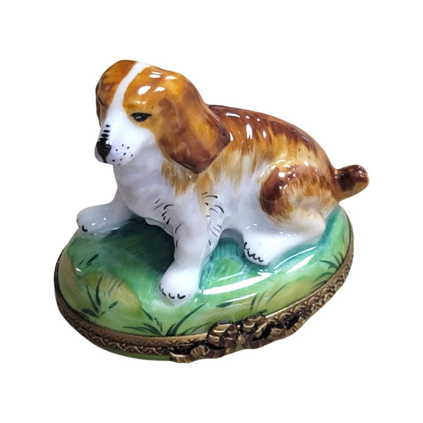 Charming Brown Dog Limoges Box Porcelain Limoges dog limoges box French Trinket Box
