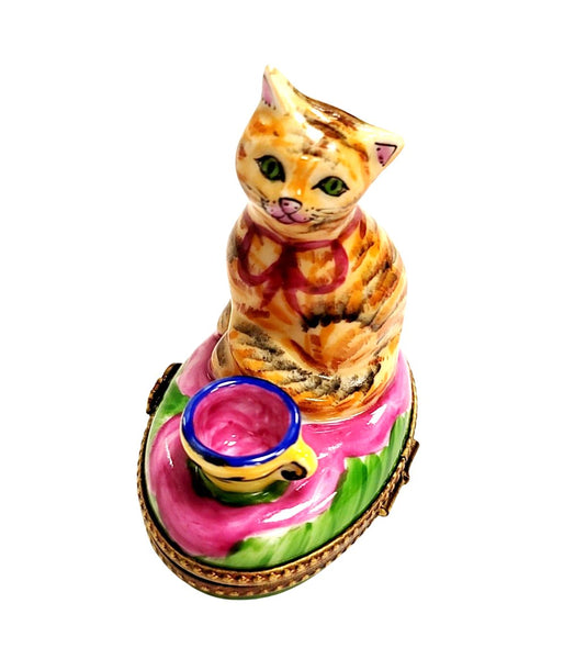 Charming Cat in Pink Cup Porcelain Limoges Cat china French Trinket Box