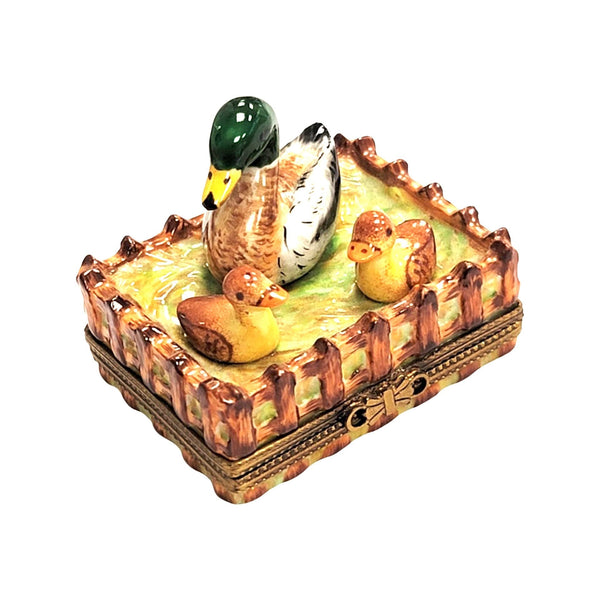 Charming Duck Family Limoges Box Porcelain Limoges bird limoges boxes farm bird French Trinket Box