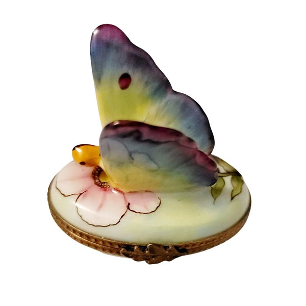 Colorful Butterfly Limoges Box Porcelain Limoges Butterfly French Trinket Box