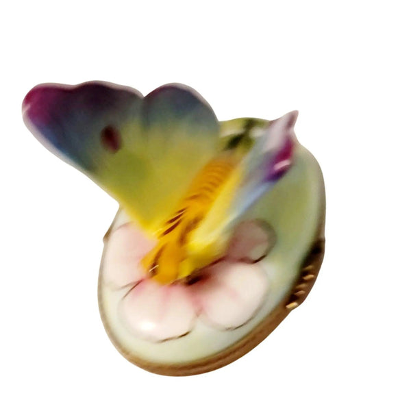 Colorful Butterfly Limoges Box Porcelain Limoges Butterfly French Trinket Box