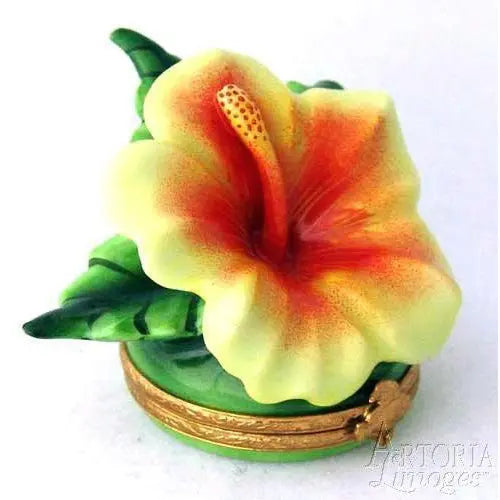 Hawaian Hibiscus Garden Porcelain Limoges Beach ocean Travel French Trinket Box