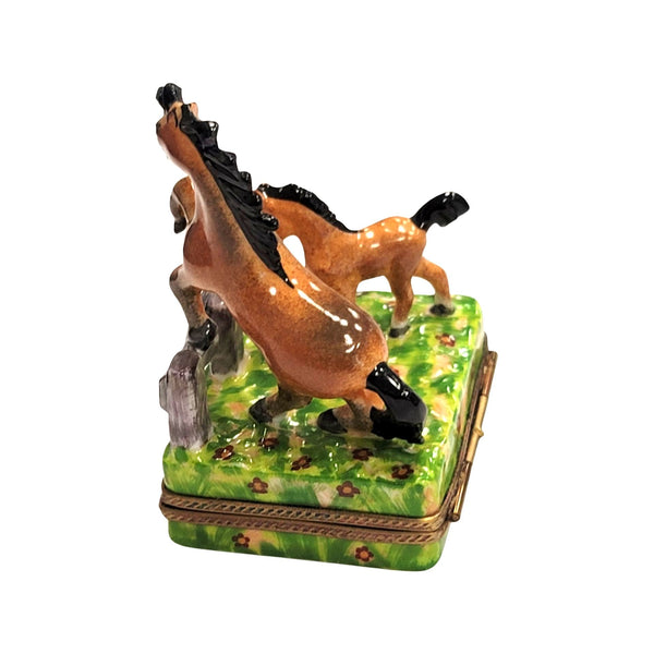 Horses in Meadow Limoges Box Porcelain Limoges farm LIMOGES BOXES French Trinket Box