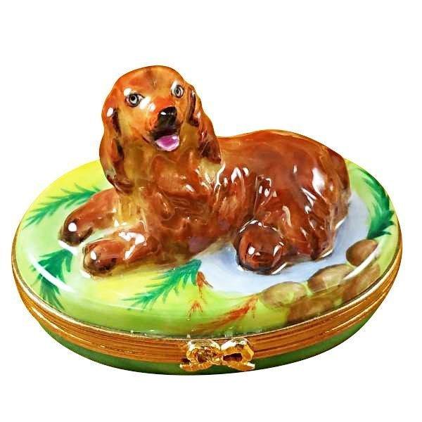 Irish Setter limoges box Porcelain Limoges French Trinket Box
