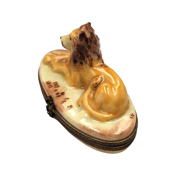 Jungle Lion Limoges Box Artistry Porcelain Limoges Limoges Boxes wild animals cat French Trinket Box