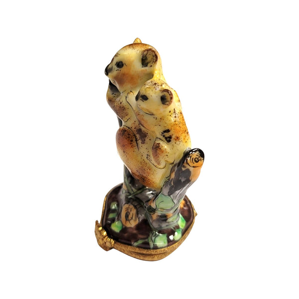 Koala Bear Family Limoges Box Porcelain Limoges bear wild animal French Trinket Box
