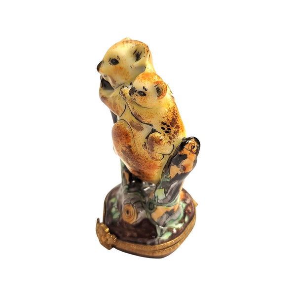Koala Bear Family Limoges Box Porcelain Limoges bear wild animal French Trinket Box