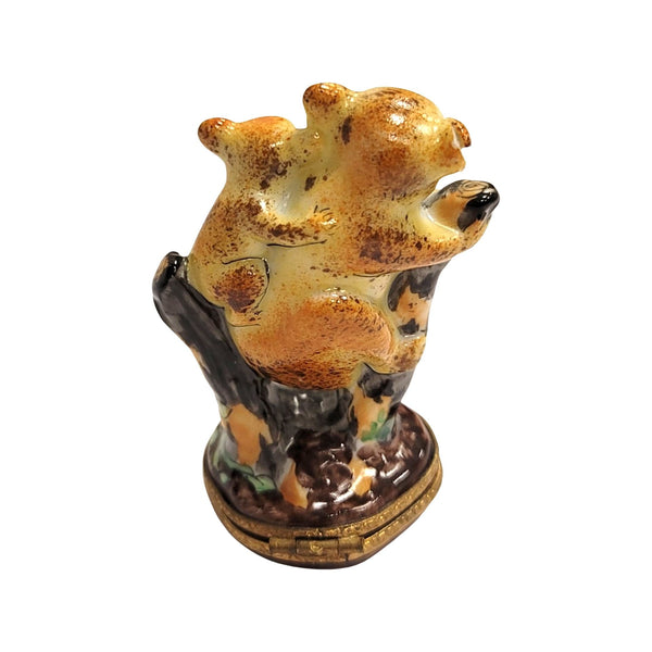 Koala Bear Family Limoges Box Porcelain Limoges bear wild animal French Trinket Box