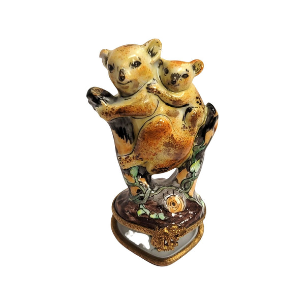 Koala Bear Family Limoges Box Porcelain Limoges bear wild animal French Trinket Box