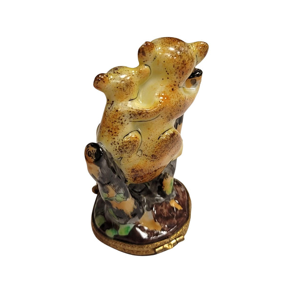 Koala Bear Family Limoges Box Porcelain Limoges bear wild animal French Trinket Box