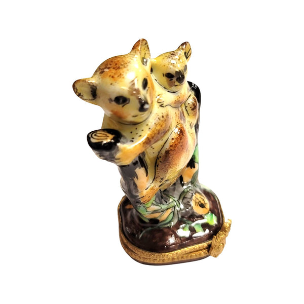 Koala Bear Family Limoges Box Porcelain Limoges bear wild animal French Trinket Box