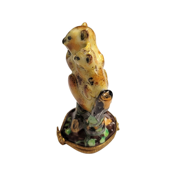 Koala Bear Family Limoges Box Porcelain Limoges bear wild animal French Trinket Box