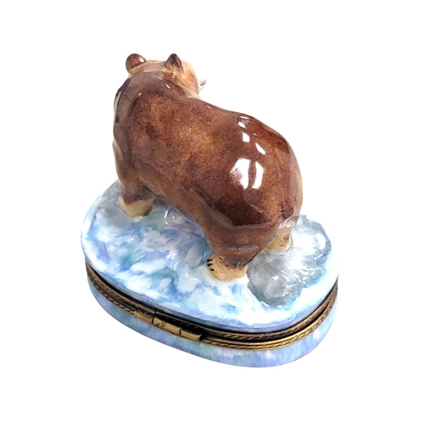 Majestic Brown Bear Limoges Box Porcelain Limoges bear French Trinket Box