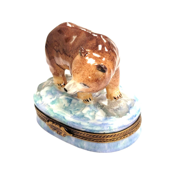 Majestic Brown Bear Limoges Box Porcelain Limoges bear French Trinket Box