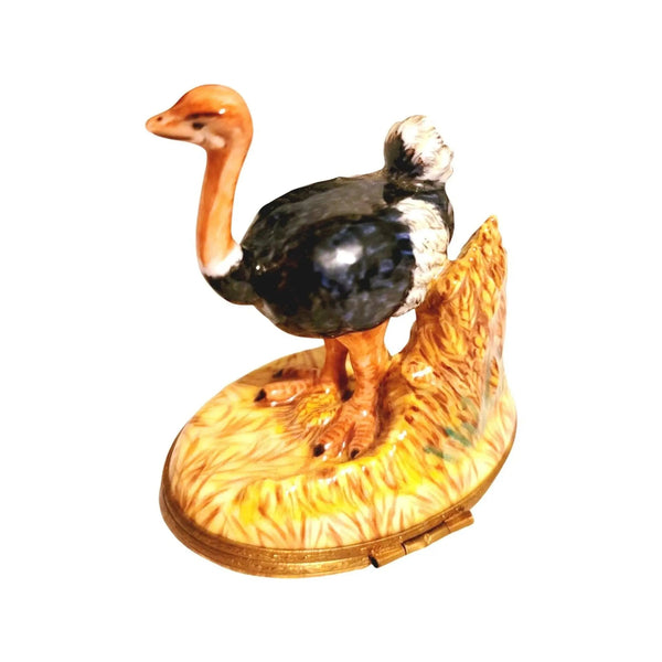 Ostrich Bird Limoges Trinket Box Porcelain Limoges Limoges Boxes bird wild French Trinket Box