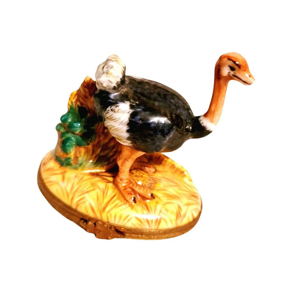 Ostrich Bird Limoges Trinket Box Porcelain Limoges Limoges Boxes bird wild French Trinket Box