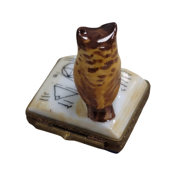 Owl Perched on Book Elegance Porcelain Limoges bird wild bird pwl French Trinket Box