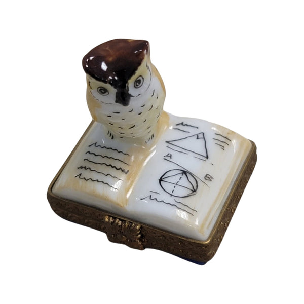 Owl Perched on Book Elegance Porcelain Limoges bird wild bird pwl French Trinket Box