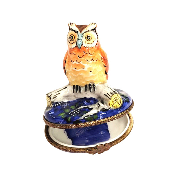 Owl on Log Limoges Box Porcelain Limoges bird French Trinket Box