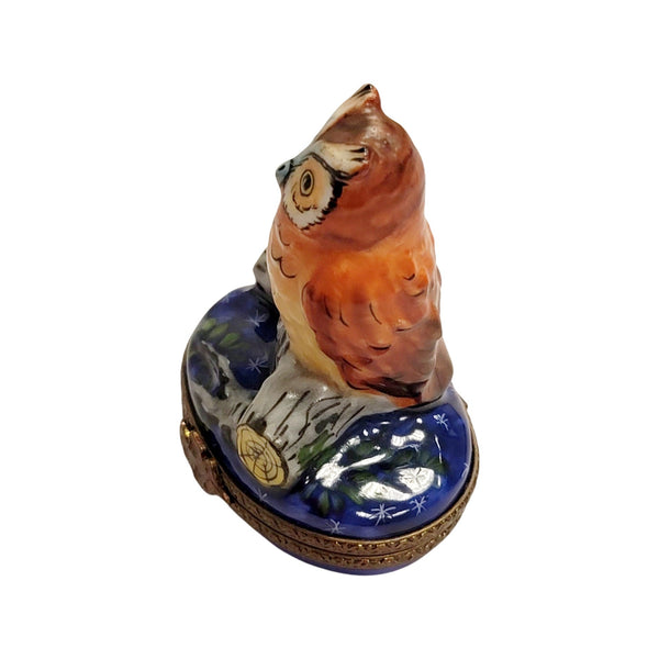 Owl on Log Limoges Box Porcelain Limoges bird French Trinket Box