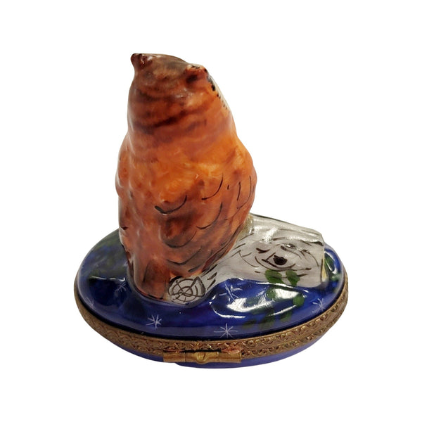 Owl on Log Limoges Box Porcelain Limoges bird French Trinket Box