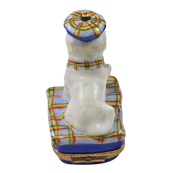 West Highland Terrier for Pet Lovers