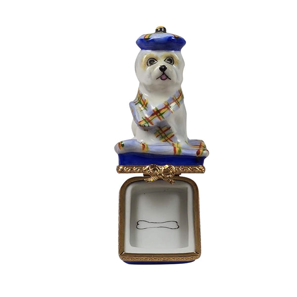 West Highland Terrier for Pet Lovers