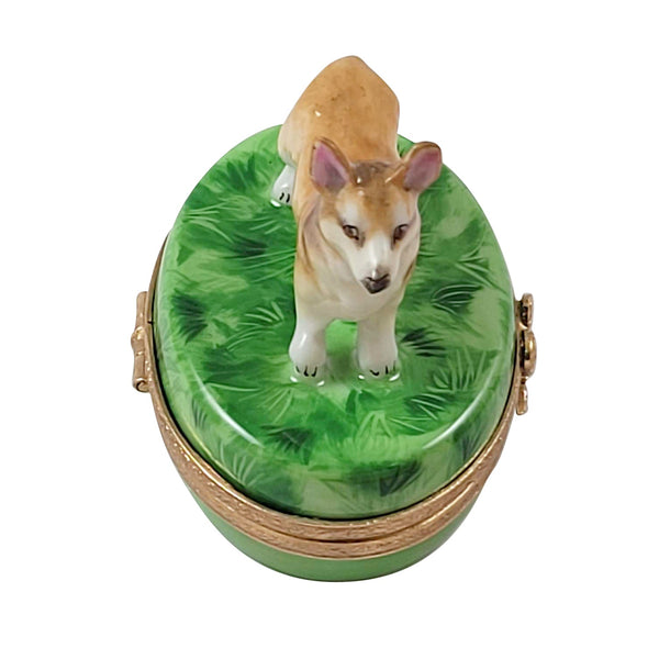 Corgi Limoges Box