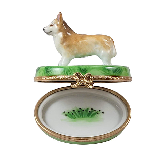 Corgi Limoges Box