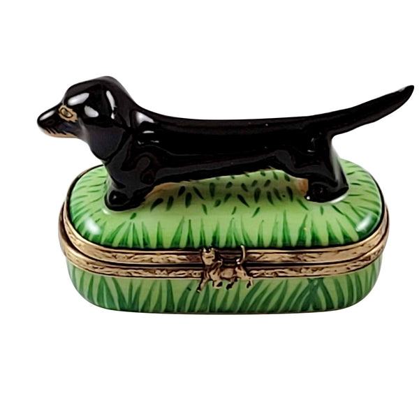 Black Tan Dachshund Porcelain Limoges dog dogs French Trinket Box