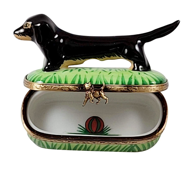 Black Tan Dachshund Porcelain Limoges dog dogs French Trinket Box